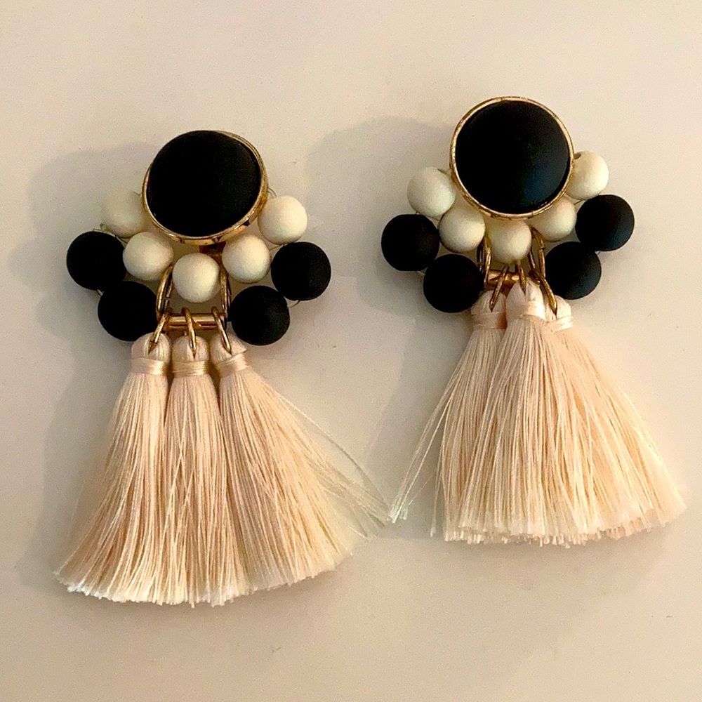 HP🎉 Tassel earrings 🖤
